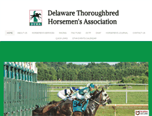 Tablet Screenshot of dtha.com